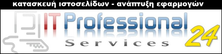 IT Professional Services 24